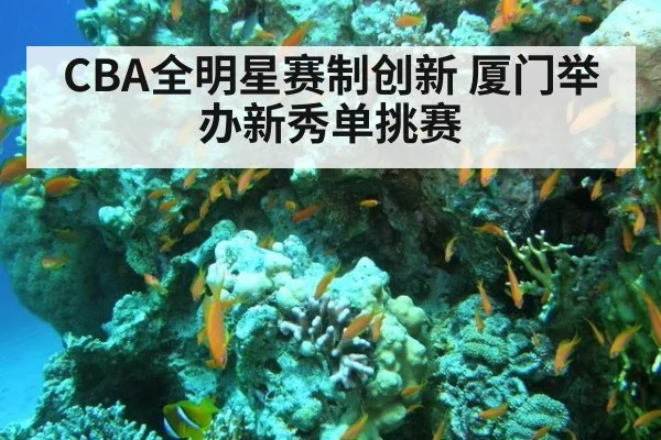 CBA全明星赛制创新 厦门举办新秀单挑赛