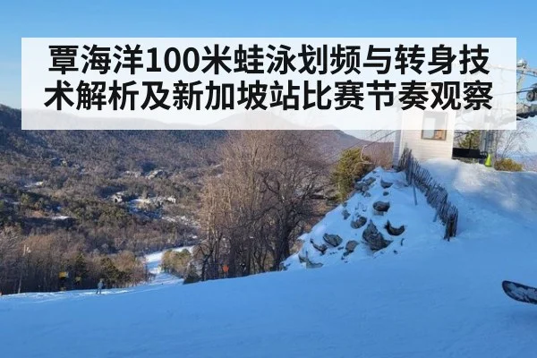 覃海洋100米蛙泳划频与转身技术解析及新加坡站比赛节奏观察