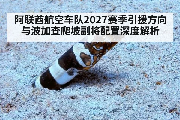 阿联酋航空车队2027赛季引援方向与波加查爬坡副将配置深度解析